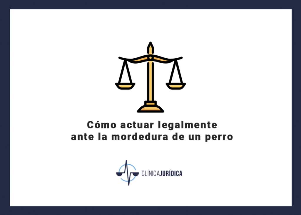 Cómo actuar legalmente ante la mordedura de un perro