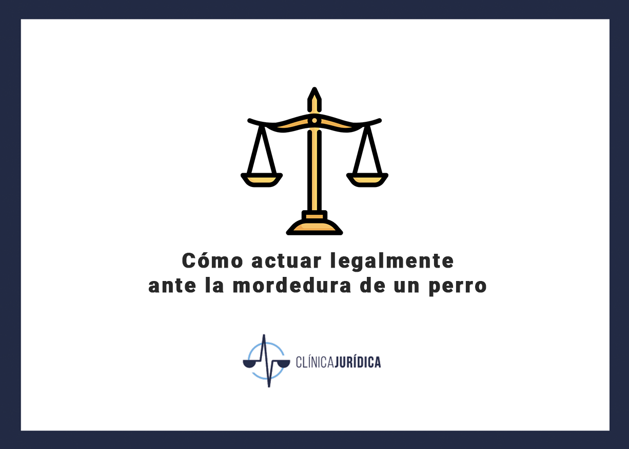 Cómo actuar legalmente ante la mordedura de un perro