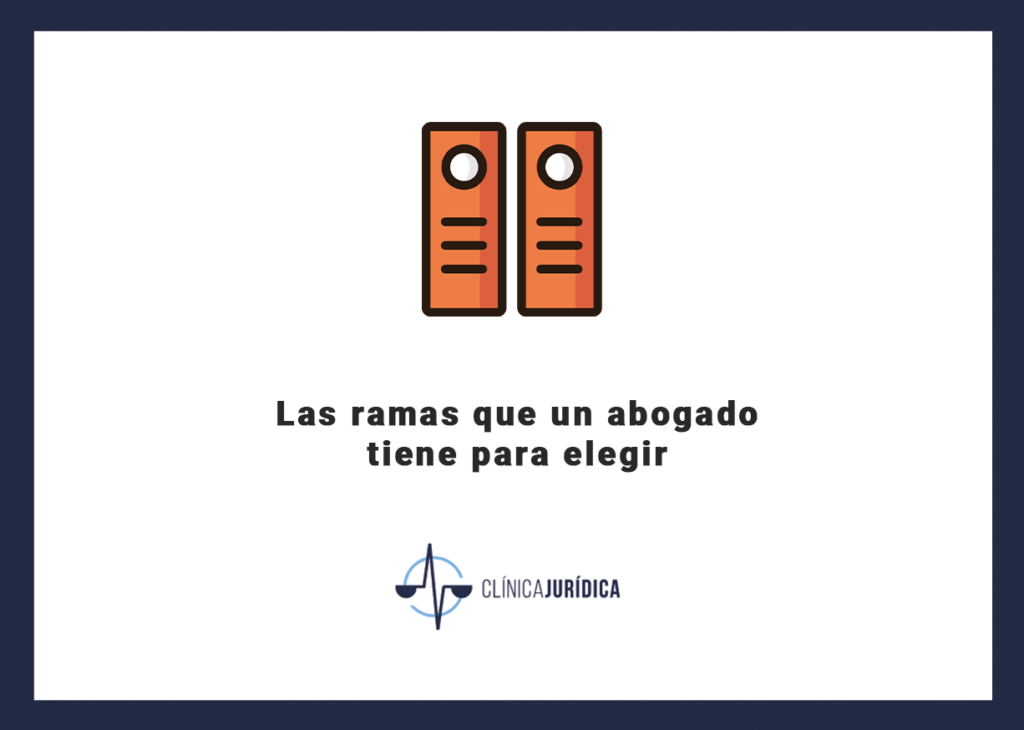 Las ramas que un abogado tiene para elegir