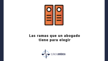 Las ramas que un abogado tiene para elegir