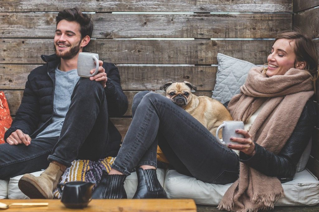 ¿Que ocurre con las mascotas en un divorcio?